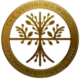 The GoodNews World